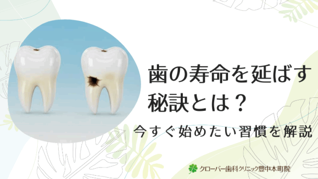歯の寿命を延ばす秘訣とは？