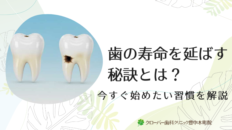 歯の寿命を延ばす秘訣とは?